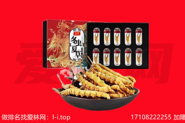 沧州市黄骅回收虫草.jpg